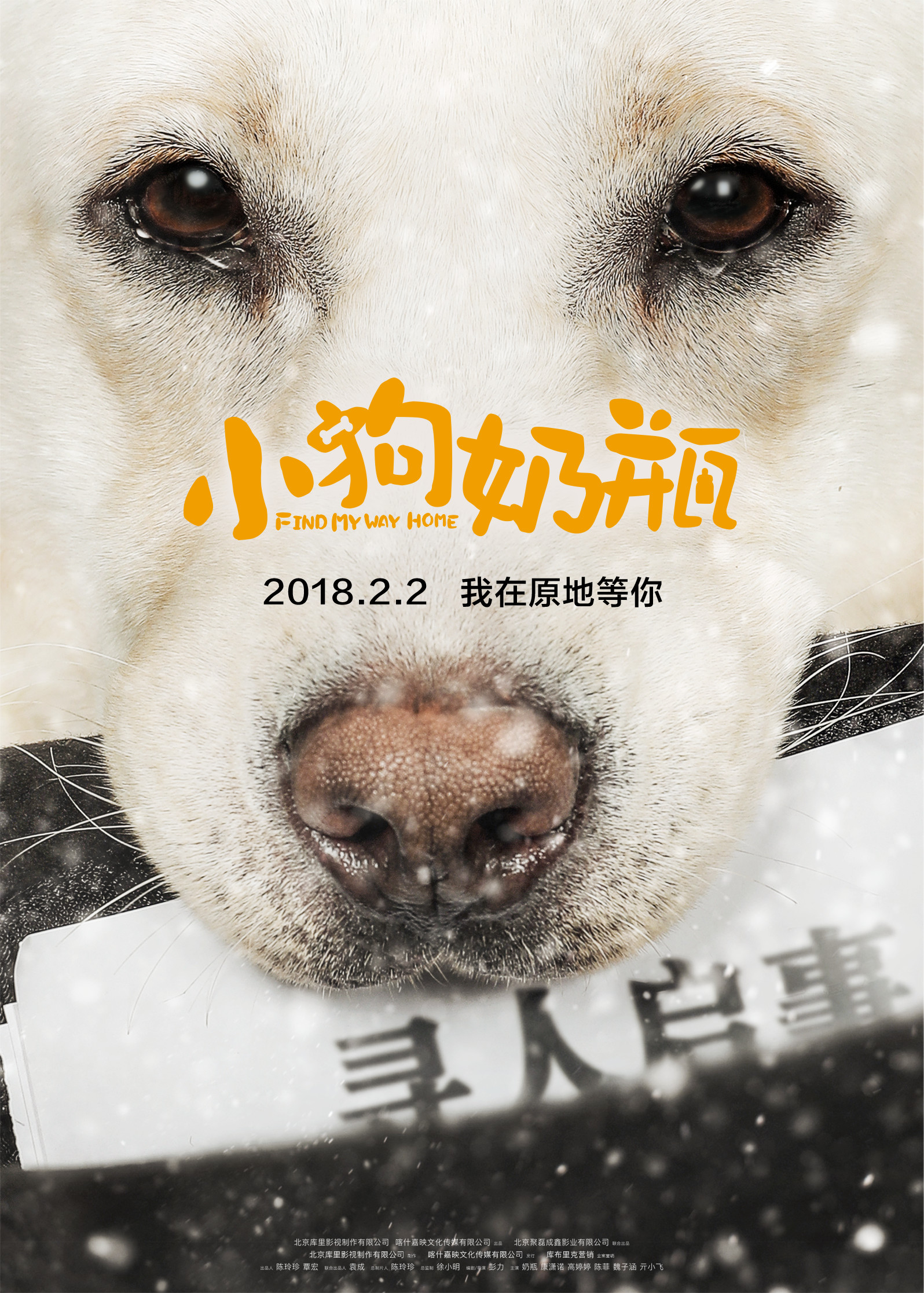 poster