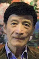 Ван Чжэнъюй (2)