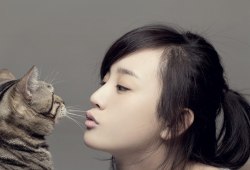<a href=