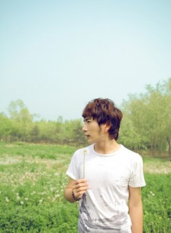 <a href=