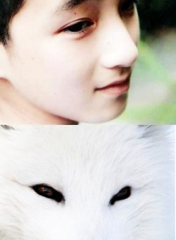 <a href=