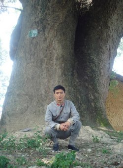 <a href=