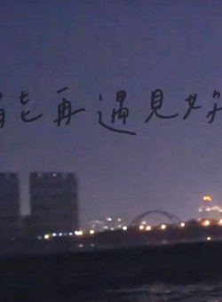 Лаванда Лаванда