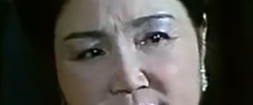 Тао Цзуйцзюань