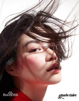 Ли Маньсюань