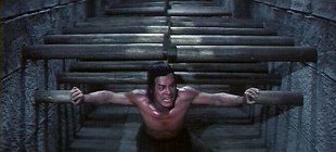 Картер Вонг Картер Вонг
